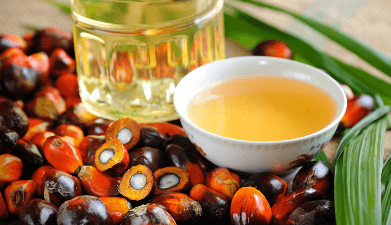 Researchers Produce Biodegradable Plastic Film from Palm Oil Production Waste