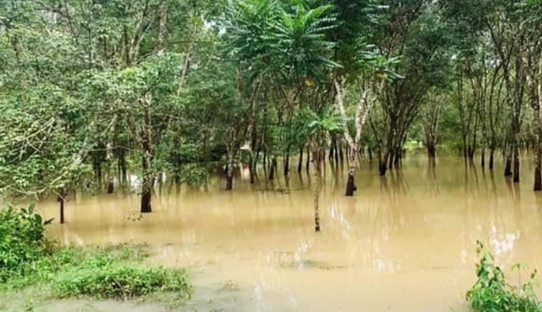 Heavy flooding in Thailand during November 2025. NationThailand photo.