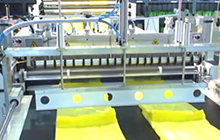 Fully Automatic  to 3 Lines Bottom Sealing Bag& Die Cut Bag Making Machine with Hot Slitting & Side Gusseting Unit