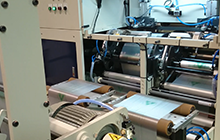 2 Lines with Core Vegetable Bag-On-Roll Making Machine