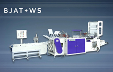 Servo Type Automatic Electronic High-Speed Wicketer Bag Making Machine